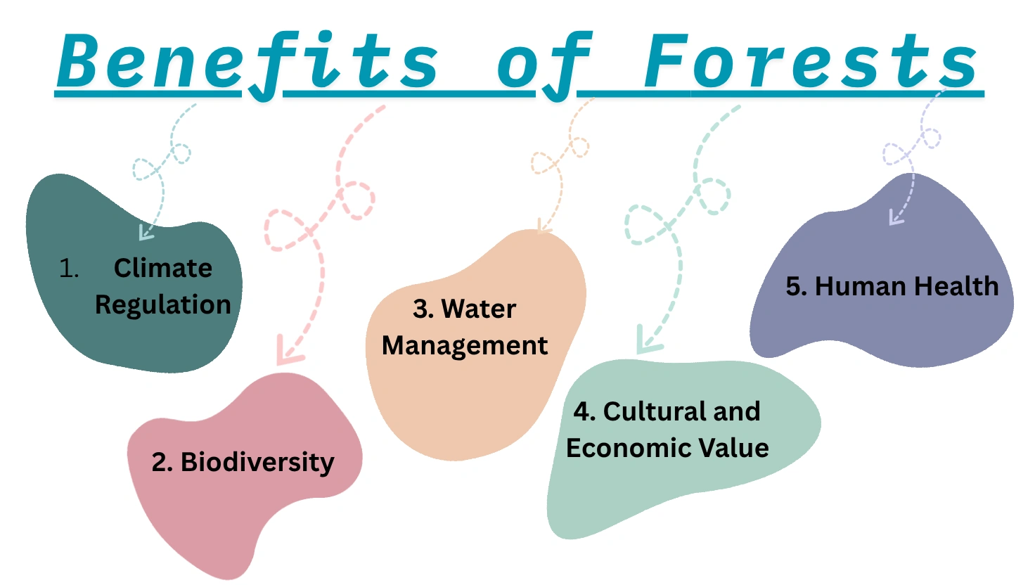 5 Benefits of forest.
