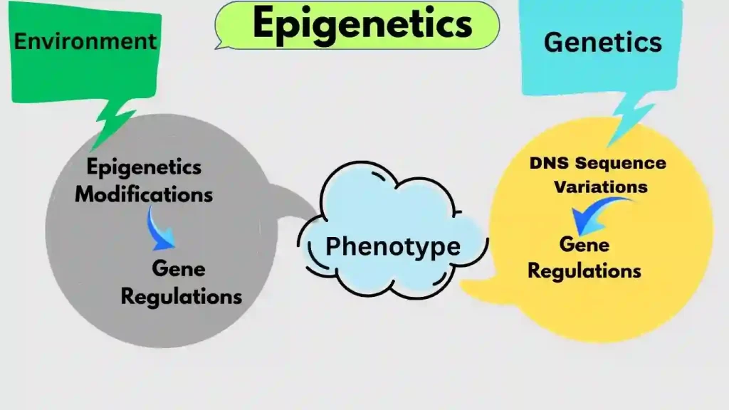Technology as a Shield Against Natural Selection, Technology Affect Human Evolution, Is technology bad for teens? What are the negative effects of technology? The Future: A Tech-Driven Human Species, How do you think modern life so dominated by technology may affect human evolution?, What is technology addiction?, Is social media good or bad? Epigenetics